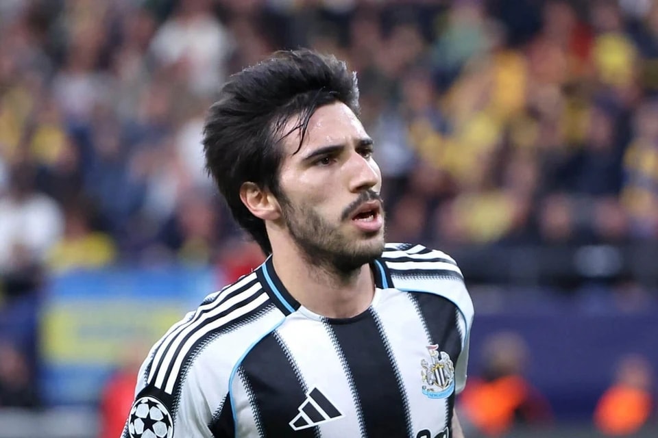 提供更高的, 亚历山大 提供更高的, 亚历山大